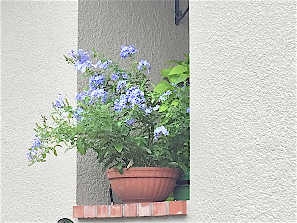 rblog-20160828185821-04.jpg
