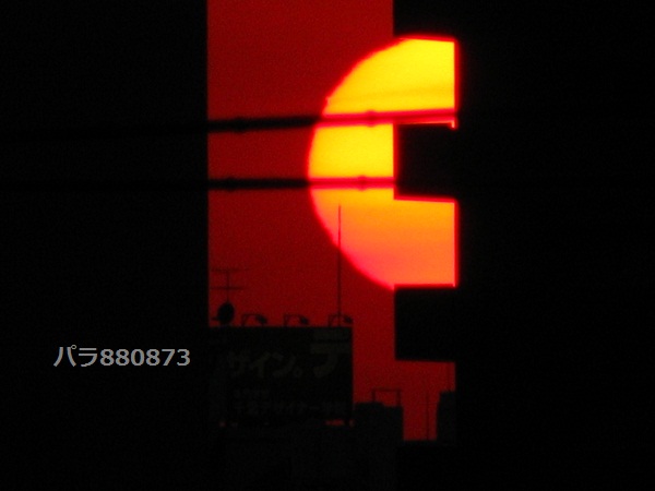 IMG_0605 - コピー.JPG