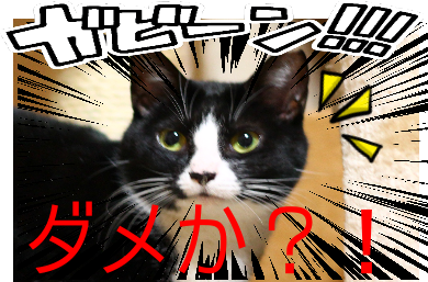 IMG_1346-crop.png