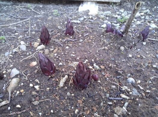 rblog-20140409230824-02.jpg