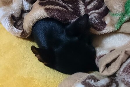 1401209000356.jpg