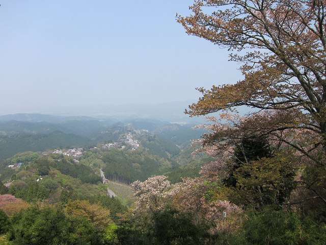 IMG_7035.jpg