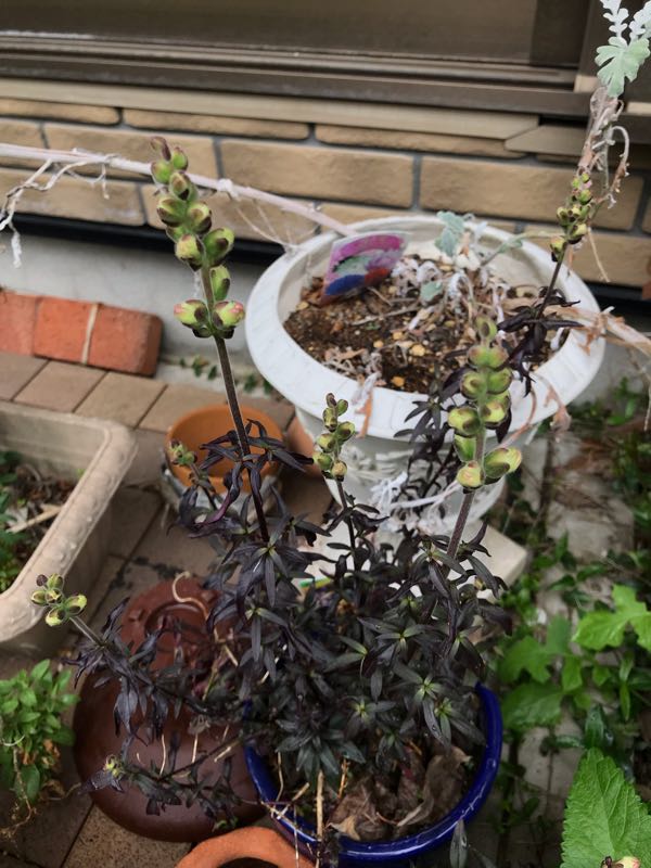 rblog-20190426180748-06.jpg
