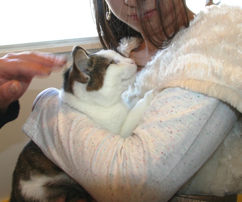 20121209ｼｰ04.jpg