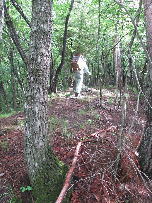 IMG_1514.JPG