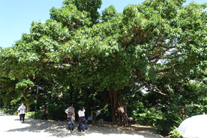 沖縄162.jpg