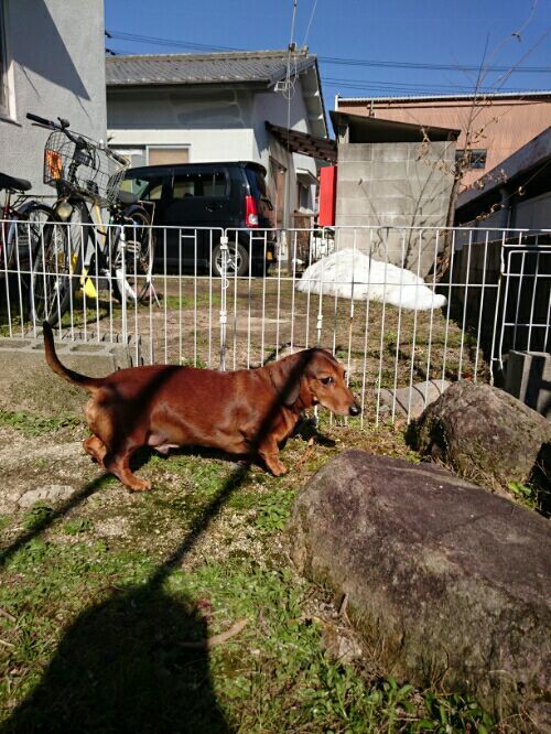 rblog-20170128174559-02.jpg