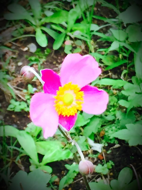 rblog-20150914222551-02.jpg