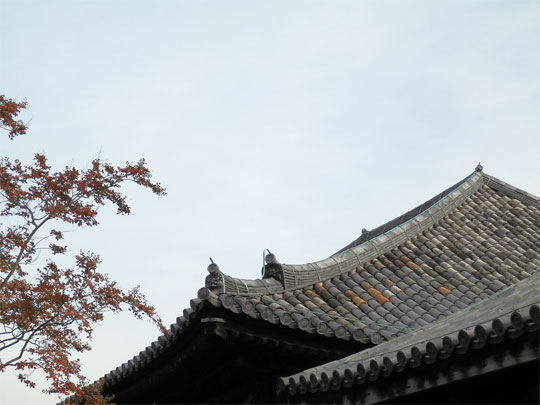 nara2012110406.jpg