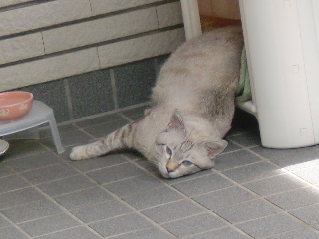 030.JPG