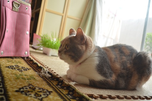 2012.5.17wa6.jpg