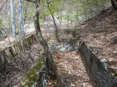 DSC05338.JPG