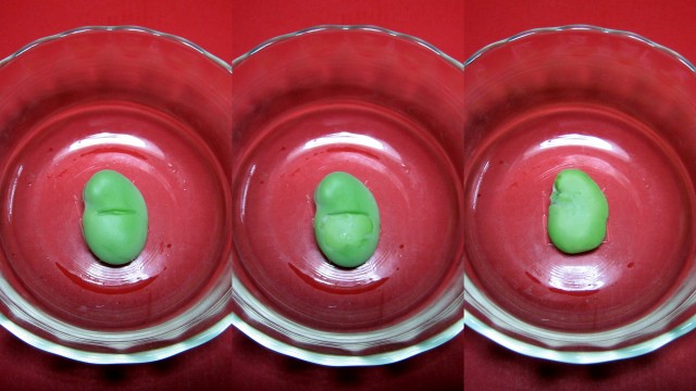 空豆の薄皮の剥き方