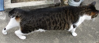 IMG_0844ss.jpg