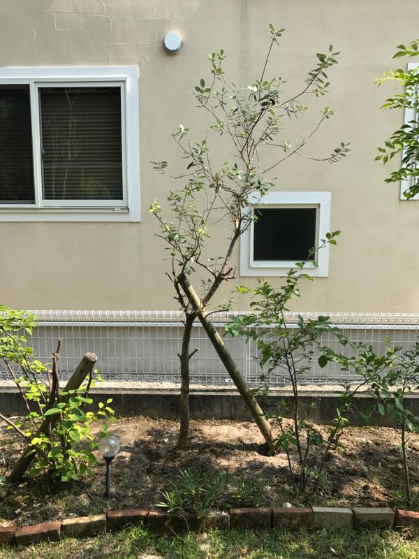 rblog-20170722152437-02.jpg
