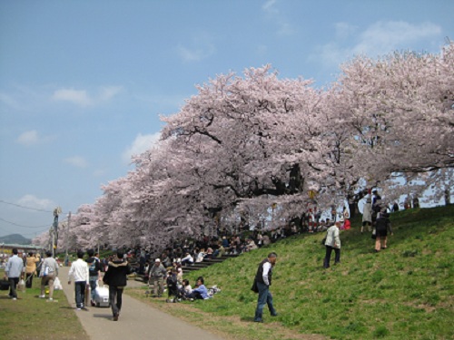 hanami