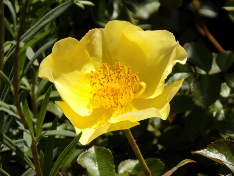 DSCN0550.JPG