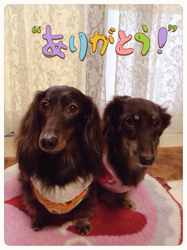 rblog-20140223151312-03.jpg