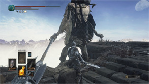 DS202.jpg