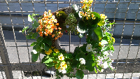 rblog-20130616161217-02.png