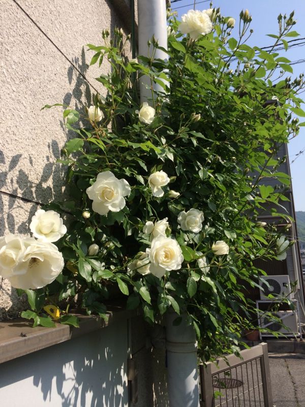 rblog-20140509110817-01.jpg