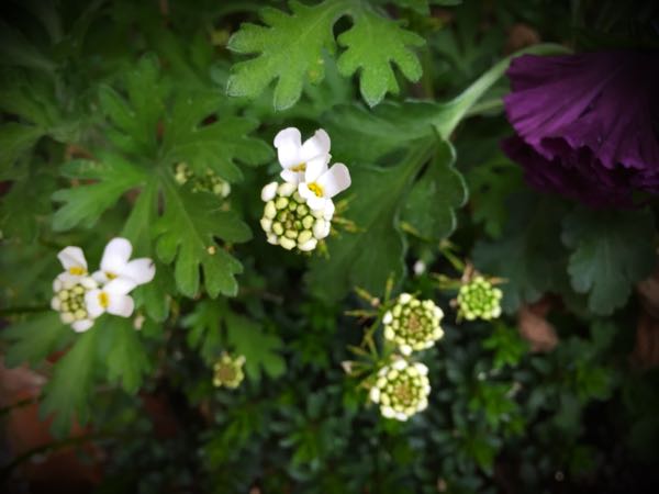 rblog-20160328172413-09.jpg