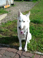 rblog-20131004195908-00.png