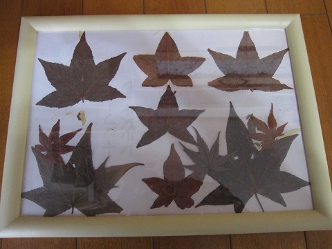 momiji