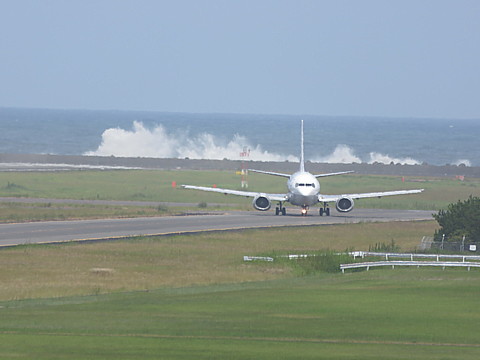 IMG_4699.jpg