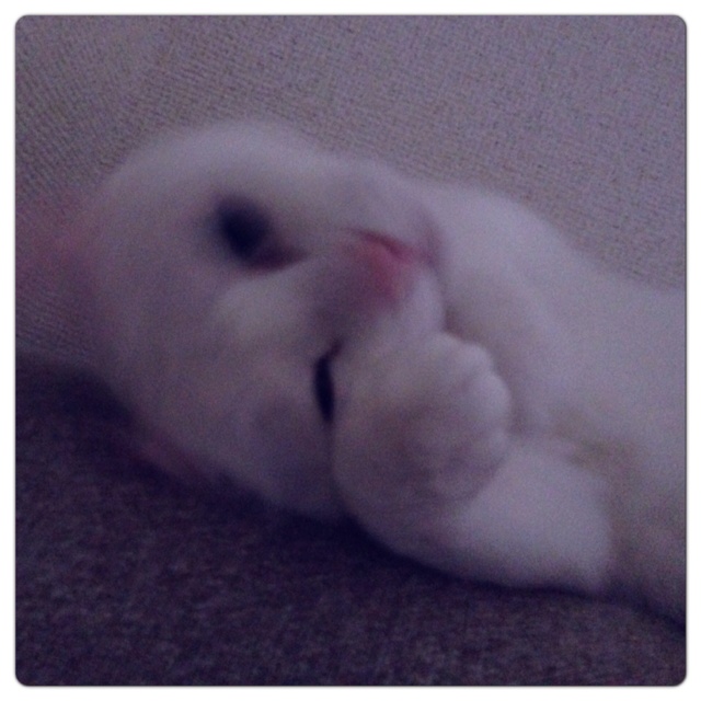 rblog-20130619221217-03.jpg