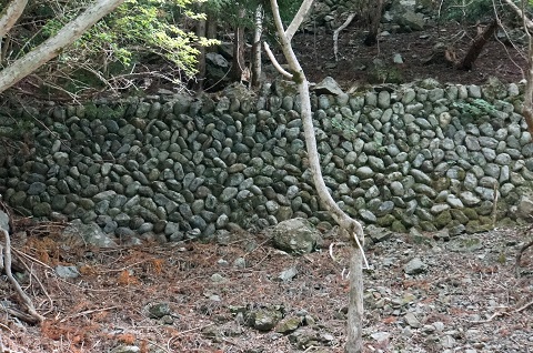 DSC07319.JPG
