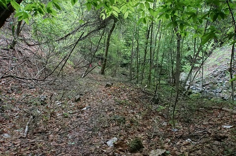 DSC06821.JPG