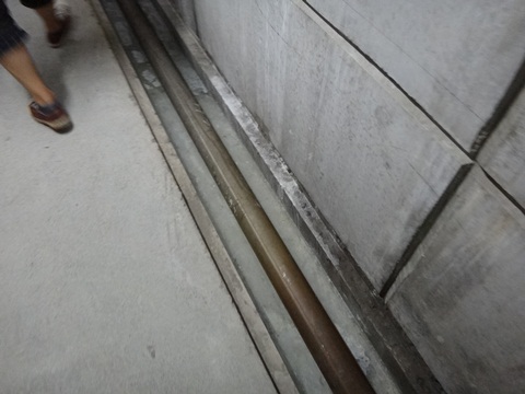 DSC01957.JPG