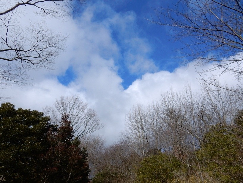 空4.JPG