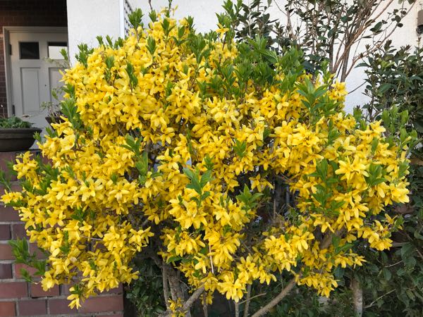 rblog-20180408182420-01.jpg