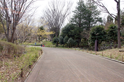 公園内