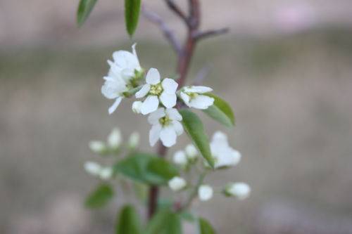 2015040802.JPG