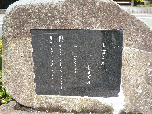 P1090953(1).JPG