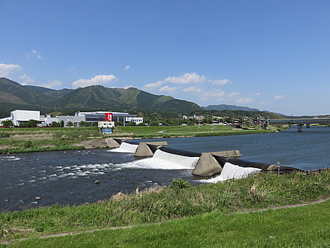 IMG_1019.jpg