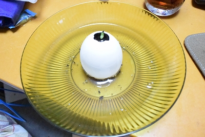 eggling