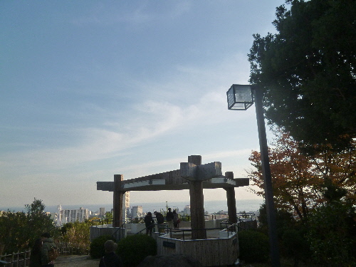 P1140132(1).JPG