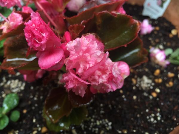 rblog-20160530192214-02.jpg