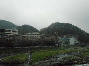 DSCN3516.jpg