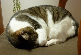P1270773-ass.jpg