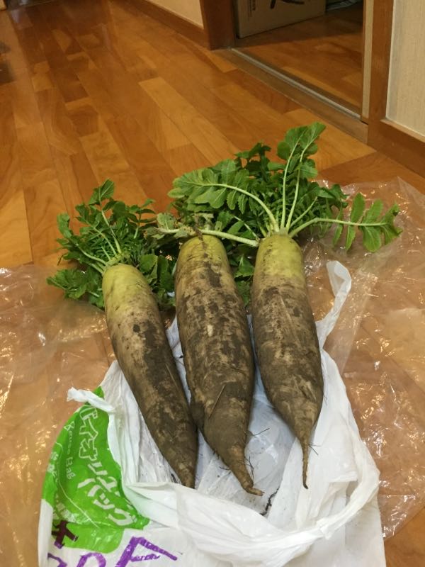 rblog-20150320041348-03.jpg