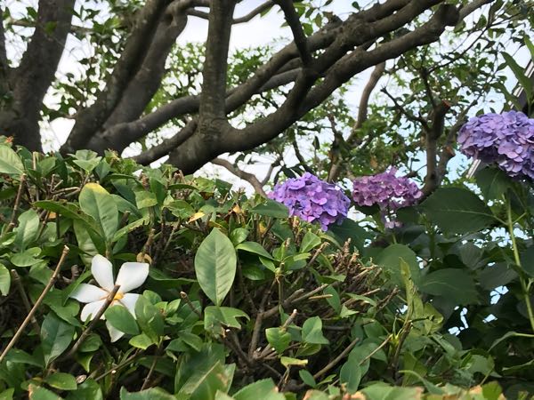 rblog-20180624181630-04.jpg