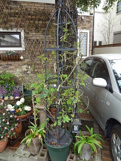 DSC00266.jpg