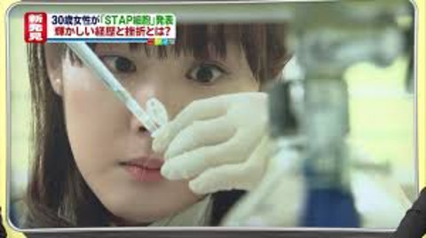 obokata.jpg