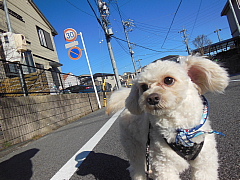conv0418.JPG