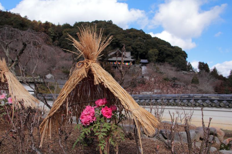 長谷寺・本坊境内_002.jpg
